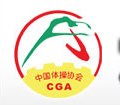 中国蹦床技巧协会